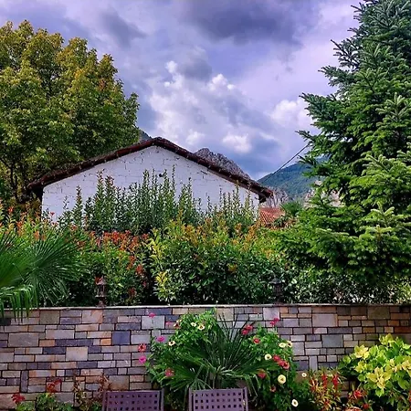 Apartamento Petroula Pozar